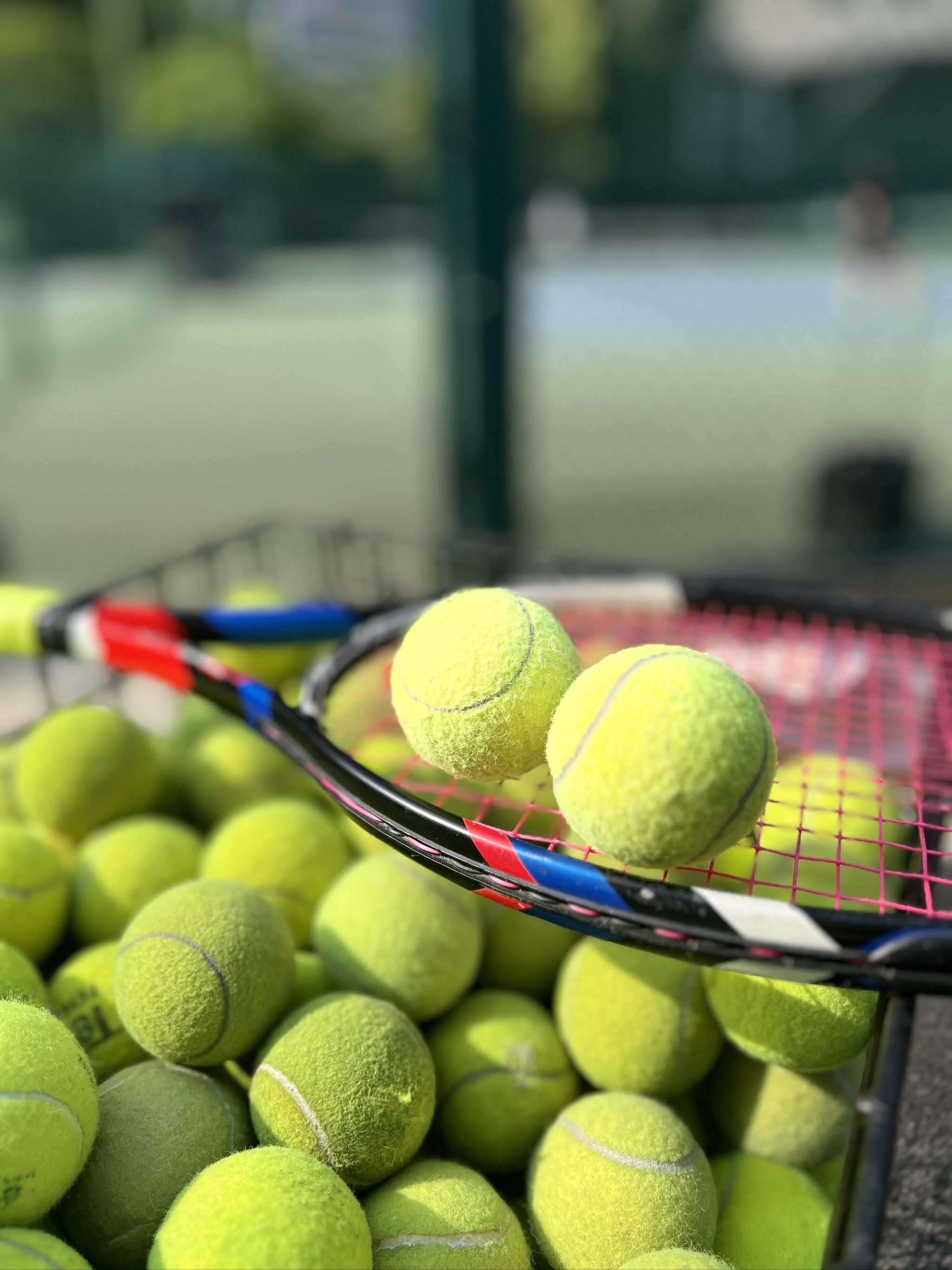 如何效仿梅 如何效仿梅