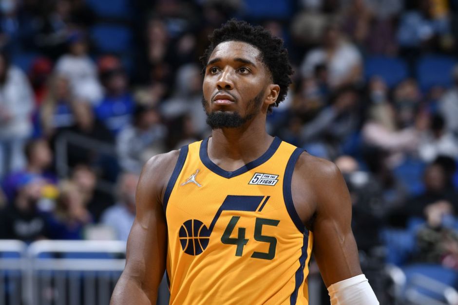 遮挡视线 遮挡视线