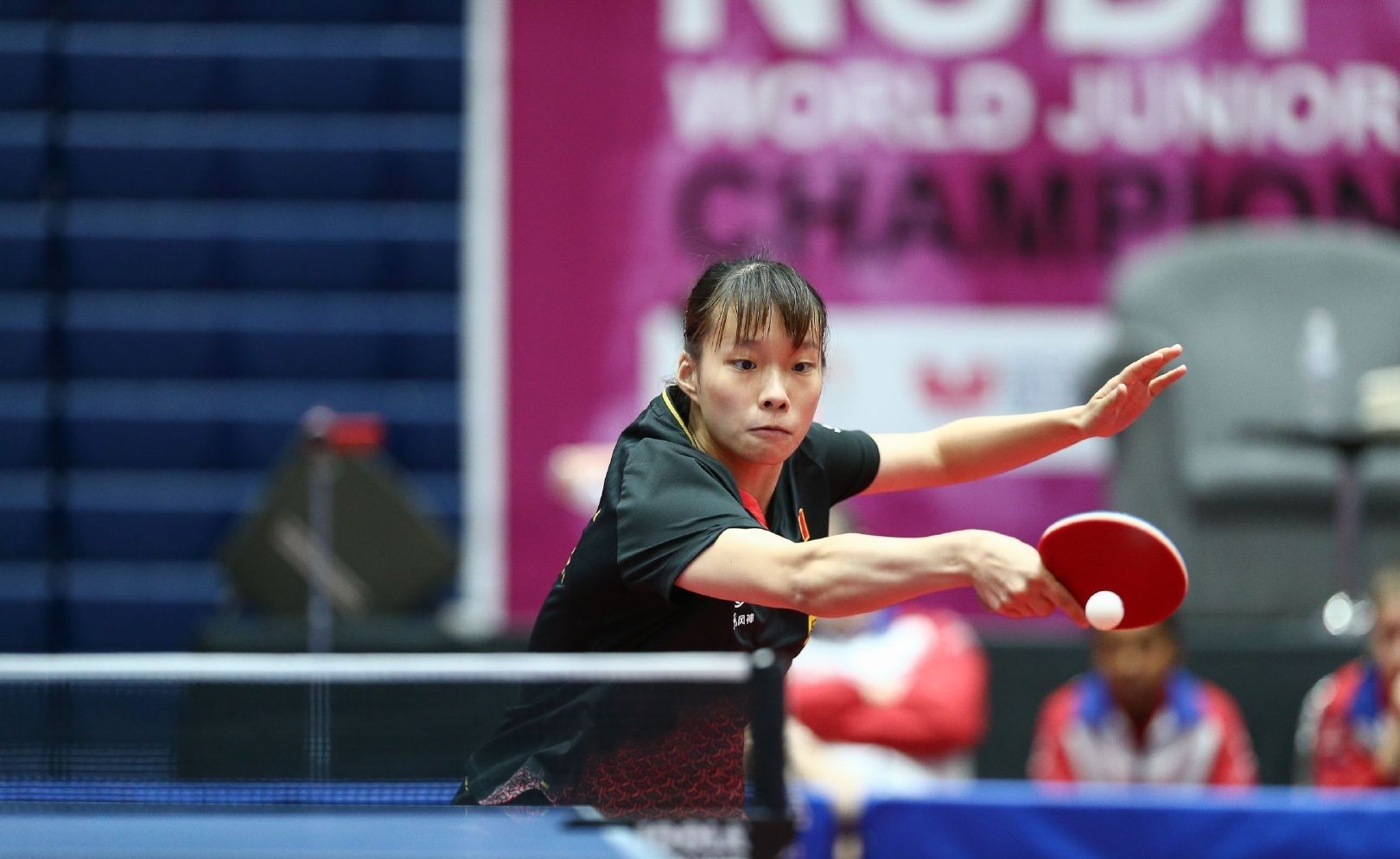 总有人被速 总有人被速